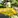 Yellow submarine