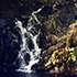 cascade, heritage nature reserve