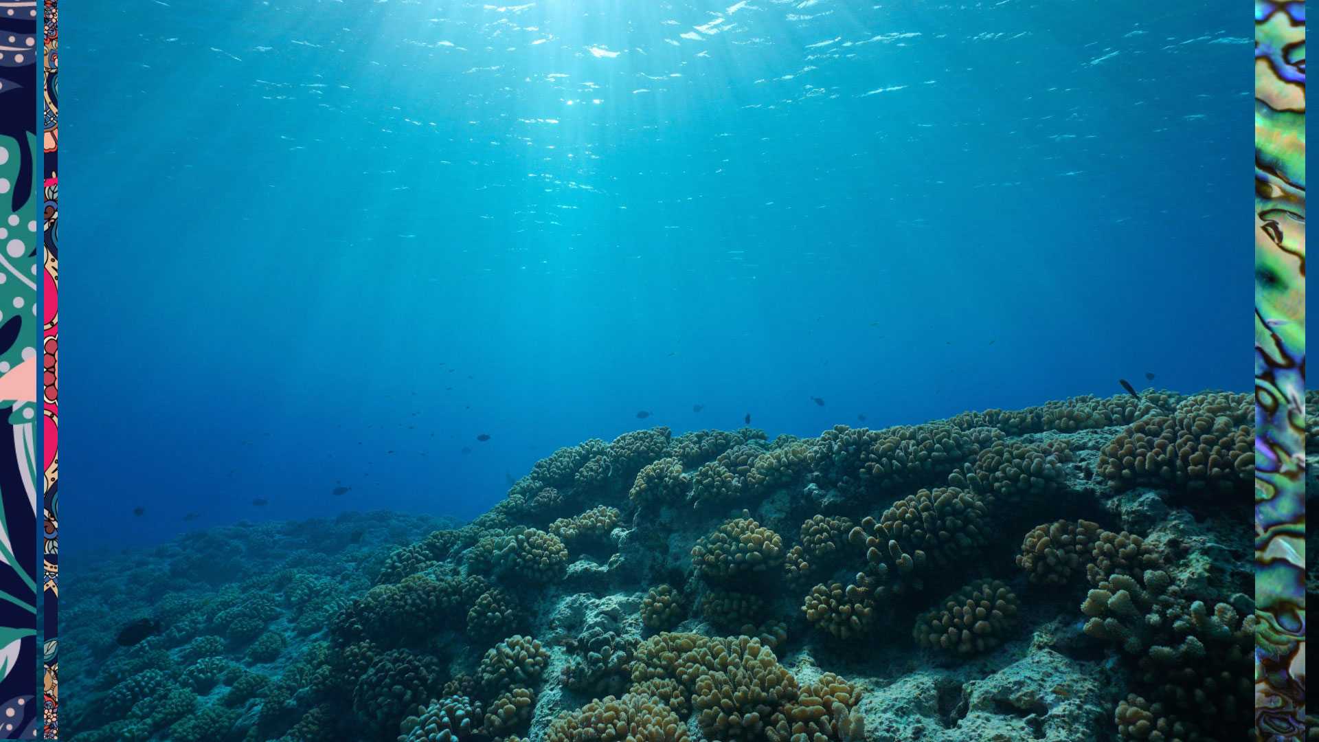 Coral Reef Conservation: A Treasure Worth Saving